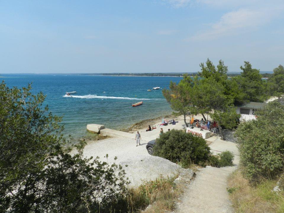 Saric * Pula